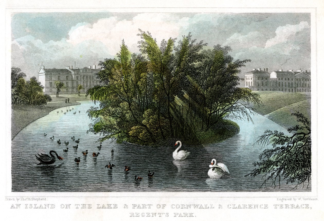 Sziget a tavon és a Cornwall and Clarence Terraces része, Regents Park, London, 1828. alkotó: William Tombleson