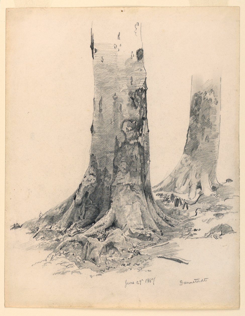 Rajz, fatörzsek, Darmstadt, 1867. június 27. alkotó: William Trost Richards