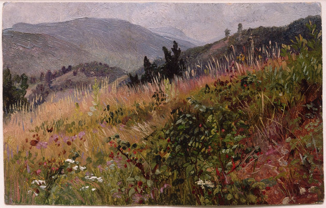 Essex megye az Adirondack-hegységben alkotó: William Trost Richards