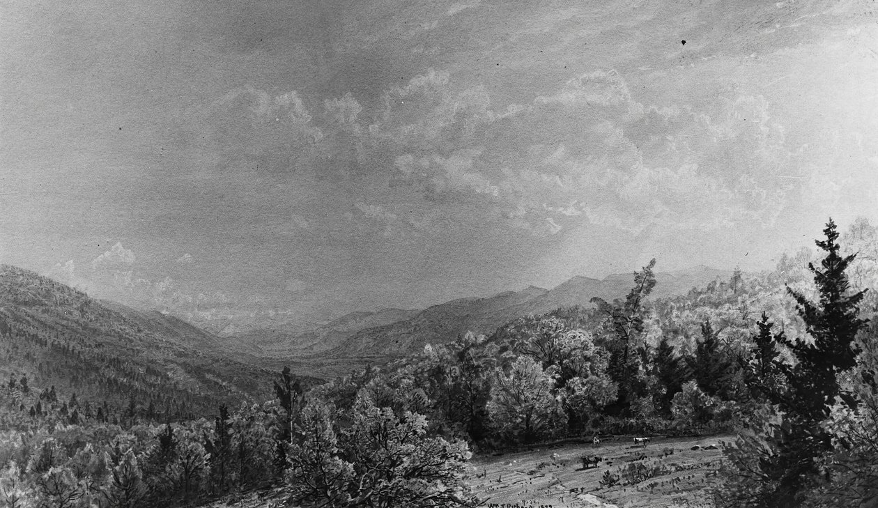A Flume House-ból, Franconia, New Hampshire, 1872. alkotó: William Trost Richards
