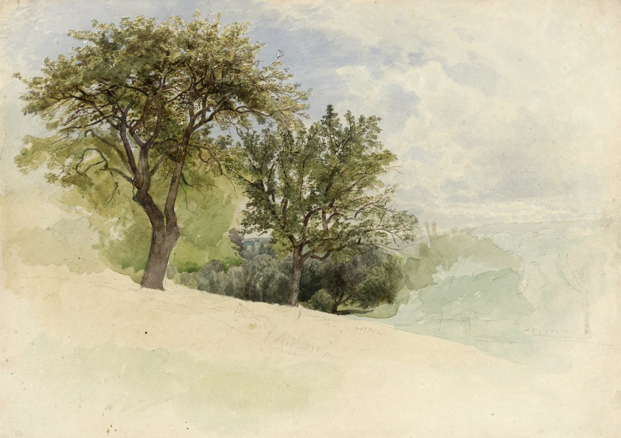 Táj fákkal a domboldalon, 1880-85 (WC, grafit és fehér gouache árnyalatok krémszínű, vastag szőtt papíron) alkotó: William Trost Richards