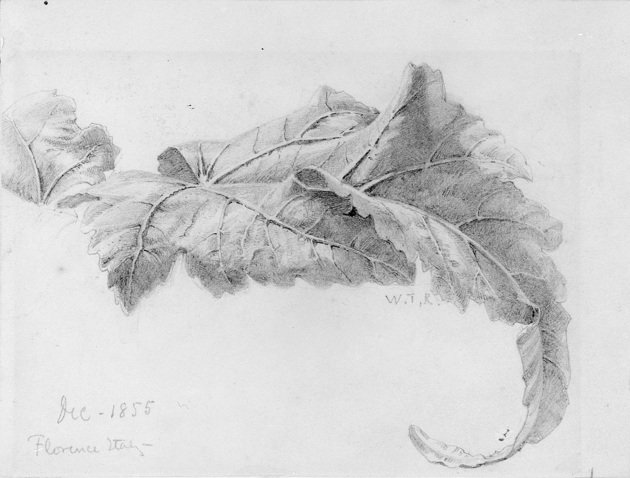 Levelek alkotó: William Trost Richards
