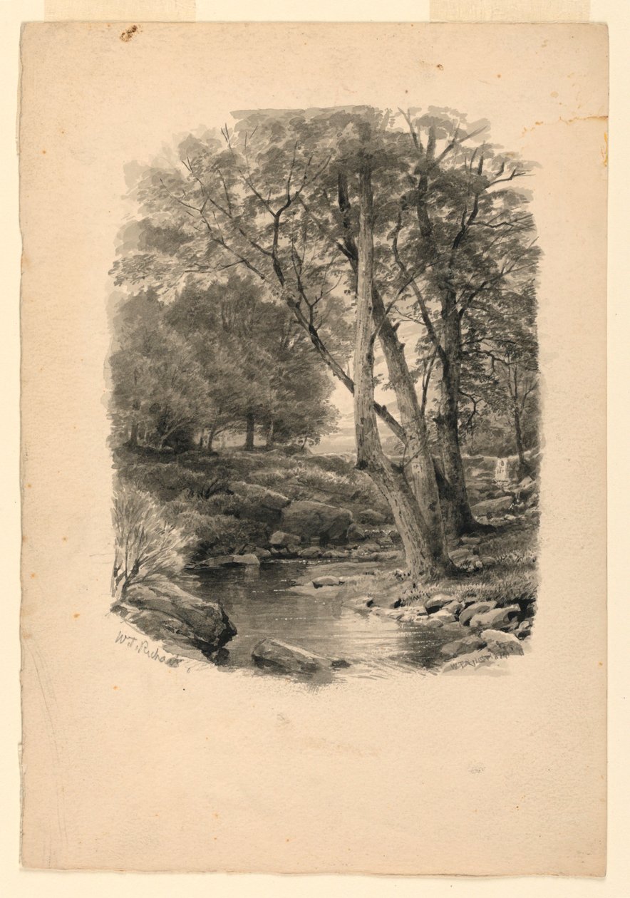 Medence az erdőben alkotó: William Trost Richards
