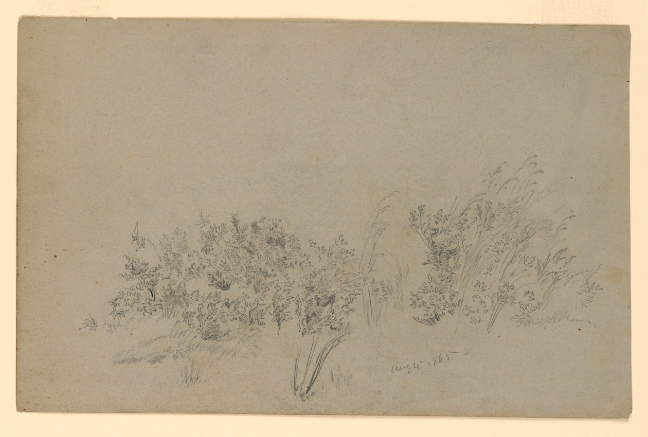 A lombozat tanulmányozása alkotó: William Trost Richards