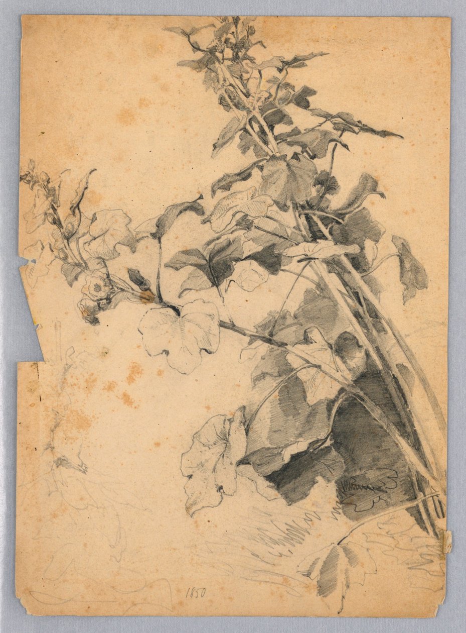 Study of foliage   1258900   hu       hungarian Successfully Translated  Original: The Triumph of Eternity Translat: The Triumph of Eternity 1254385 hu hungarian Successfully Translated Original: Asile Impérial de Vincennes: le 15 Août, le Salut à lEmpereu alkotó: William Trost Richards
