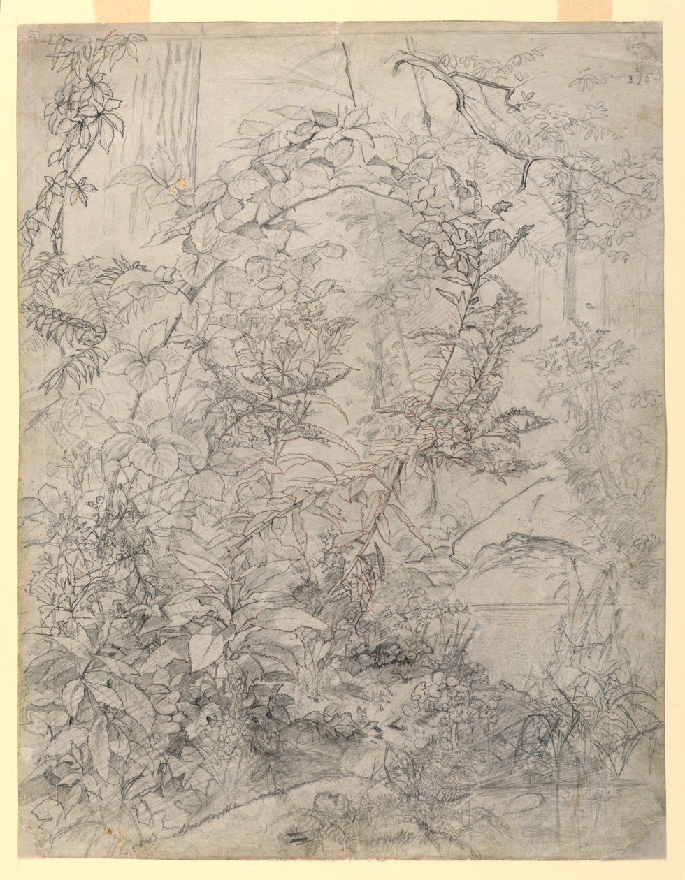 A lombozat tanulmányozása alkotó: William Trost Richards
