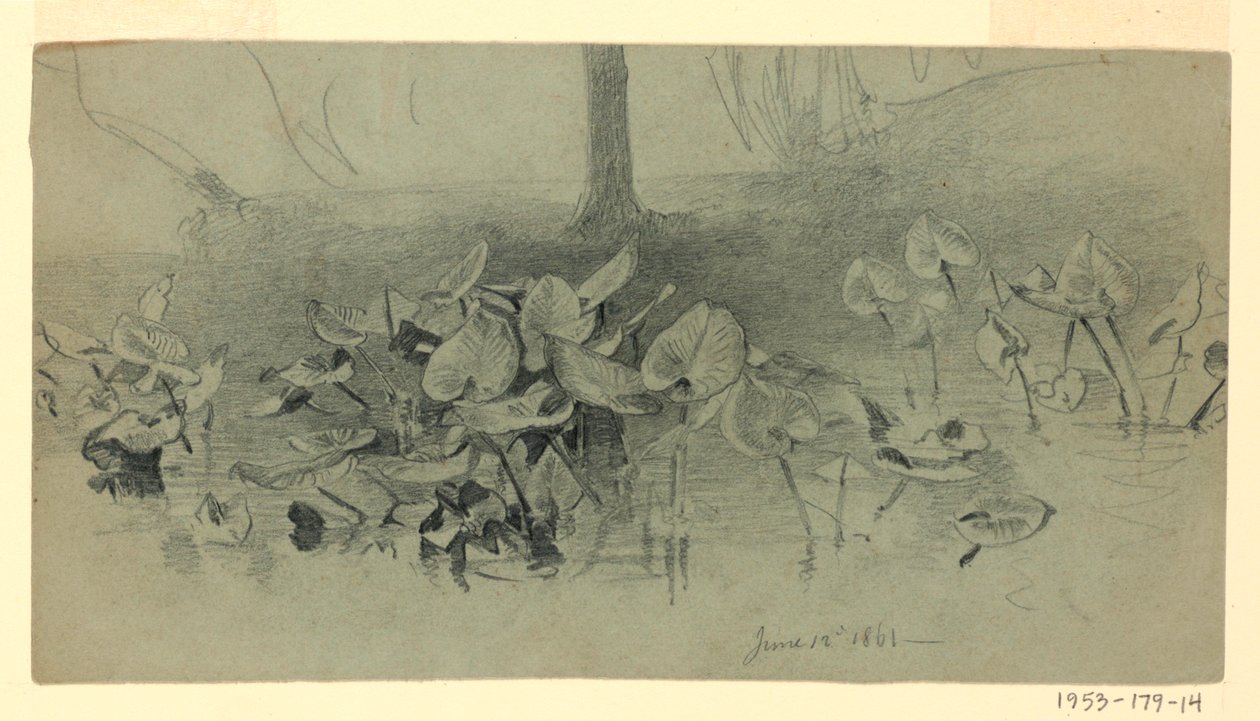 A lombozat tanulmányozása alkotó: William Trost Richards