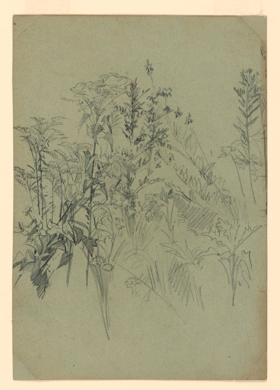 A lombozat tanulmányozása alkotó: William Trost Richards