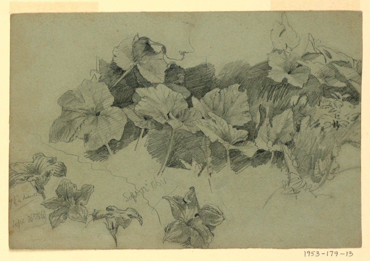 A lombozat tanulmányozása alkotó: William Trost Richards