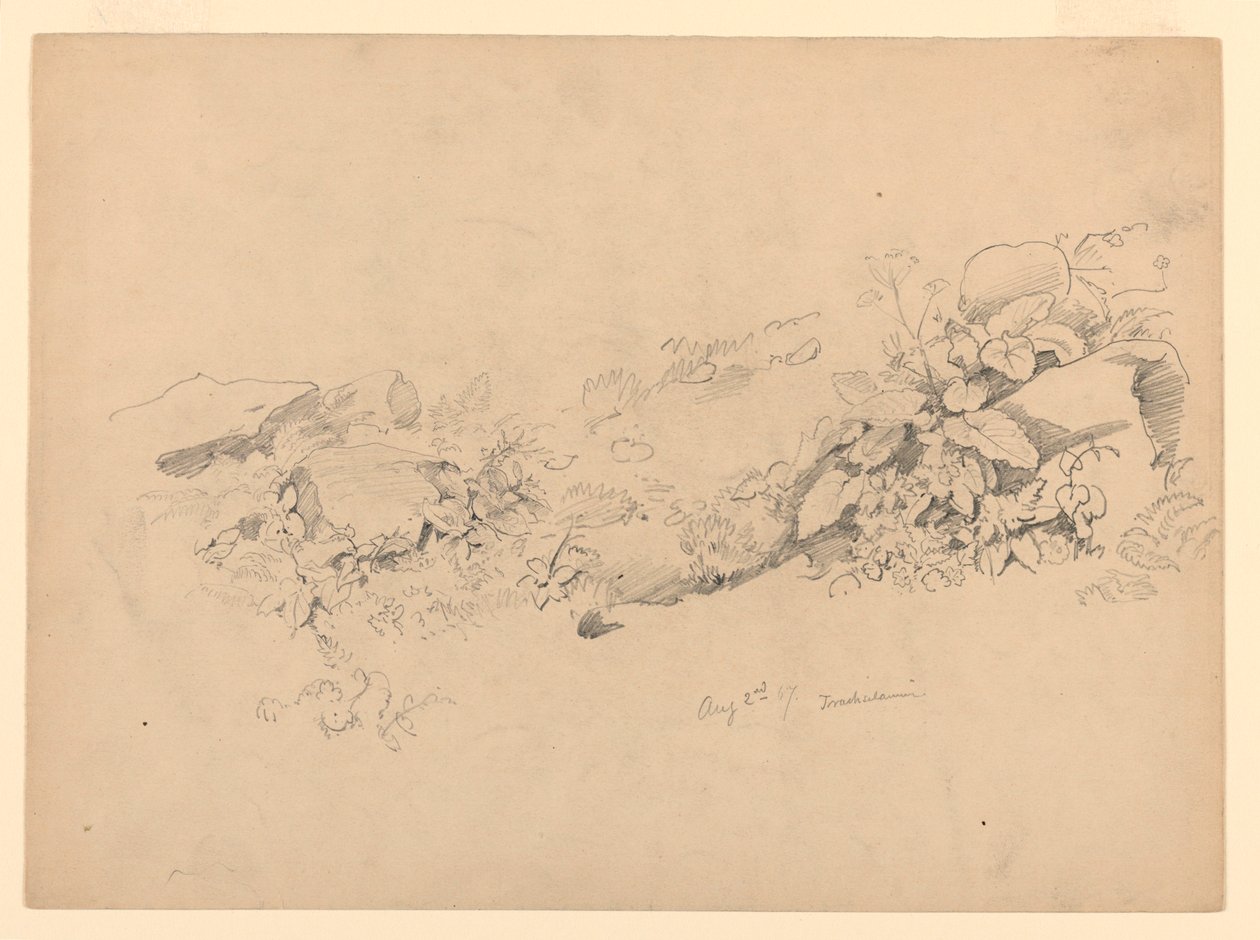 Lombozat tanulmányozása, Trachselwald, Bern, Svájc alkotó: William Trost Richards