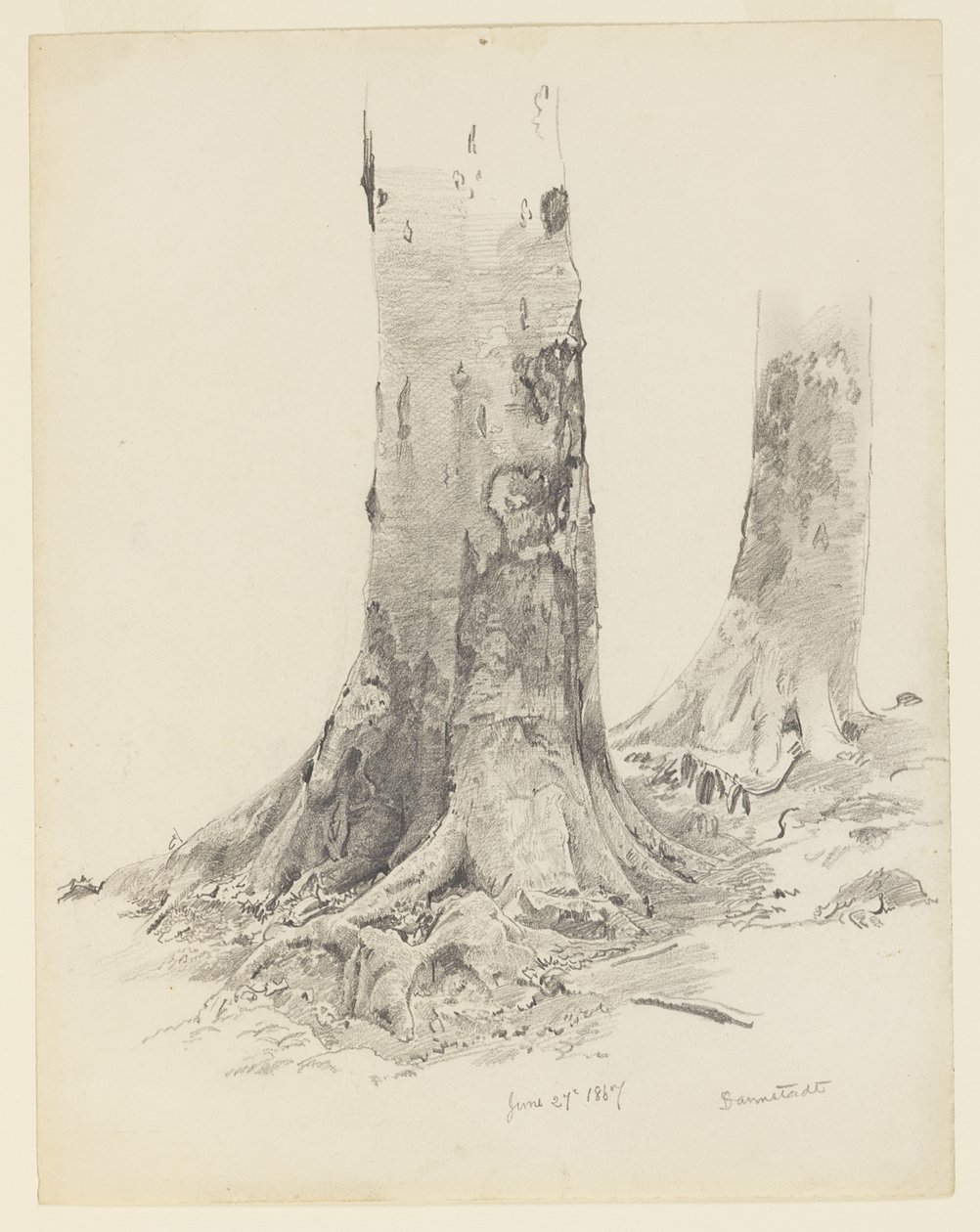Fatörzsek, Darmstadt alkotó: William Trost Richards
