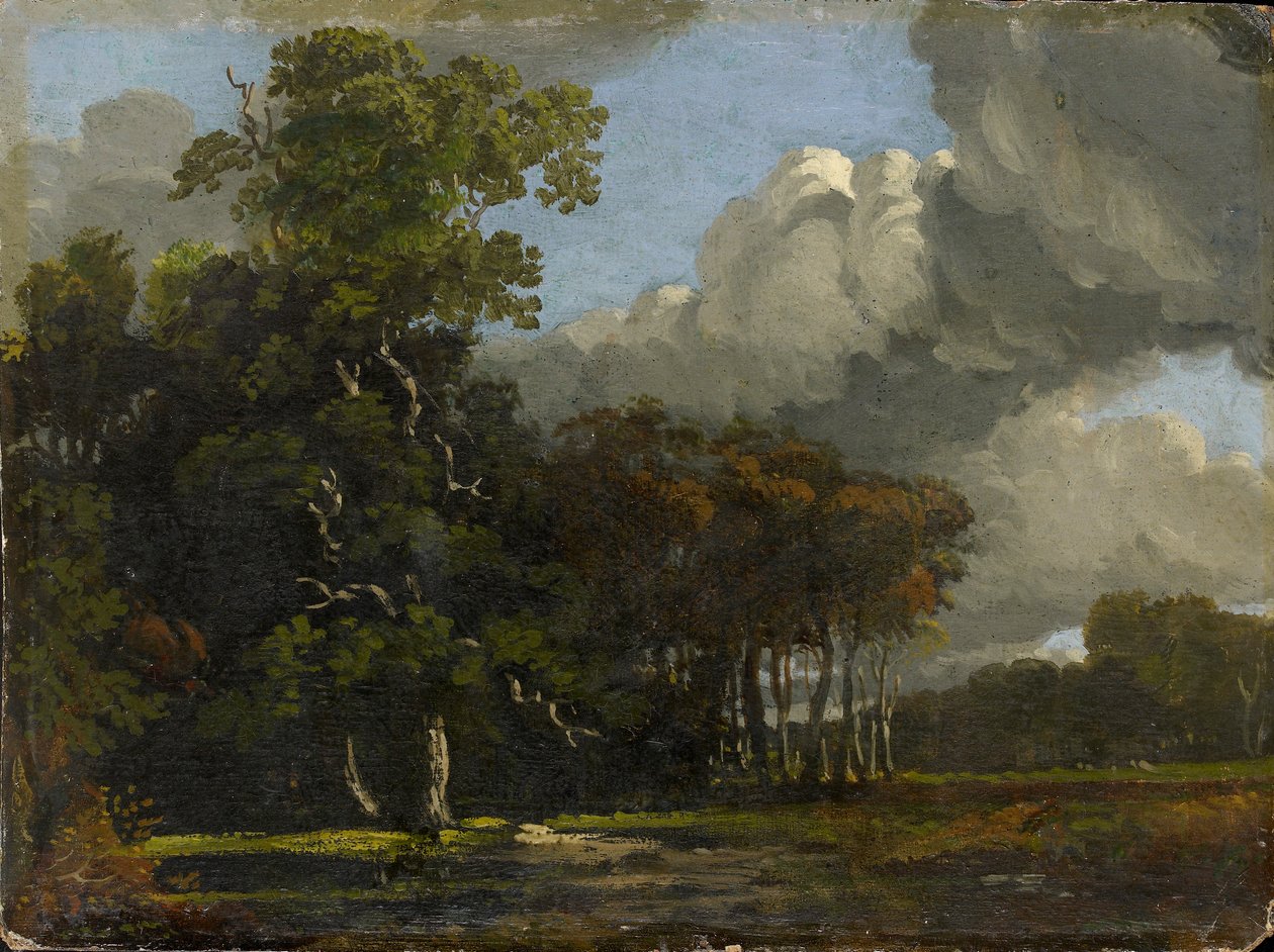 Erdei táj, c1816-1820 alkotó: Joseph Mallord William Turner