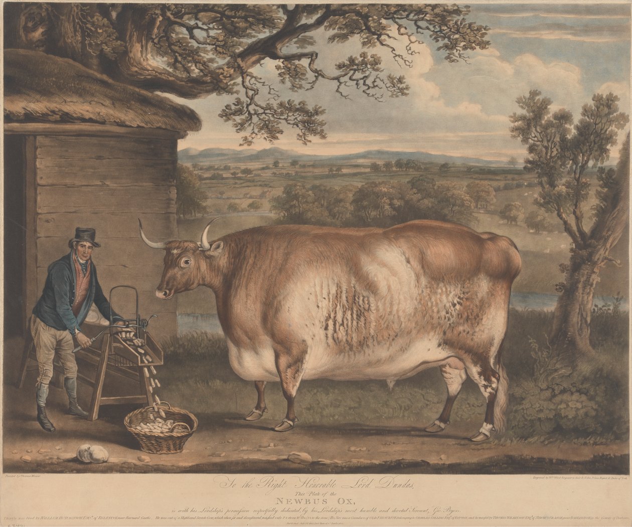 A Newbus Ox alkotó: William Ward