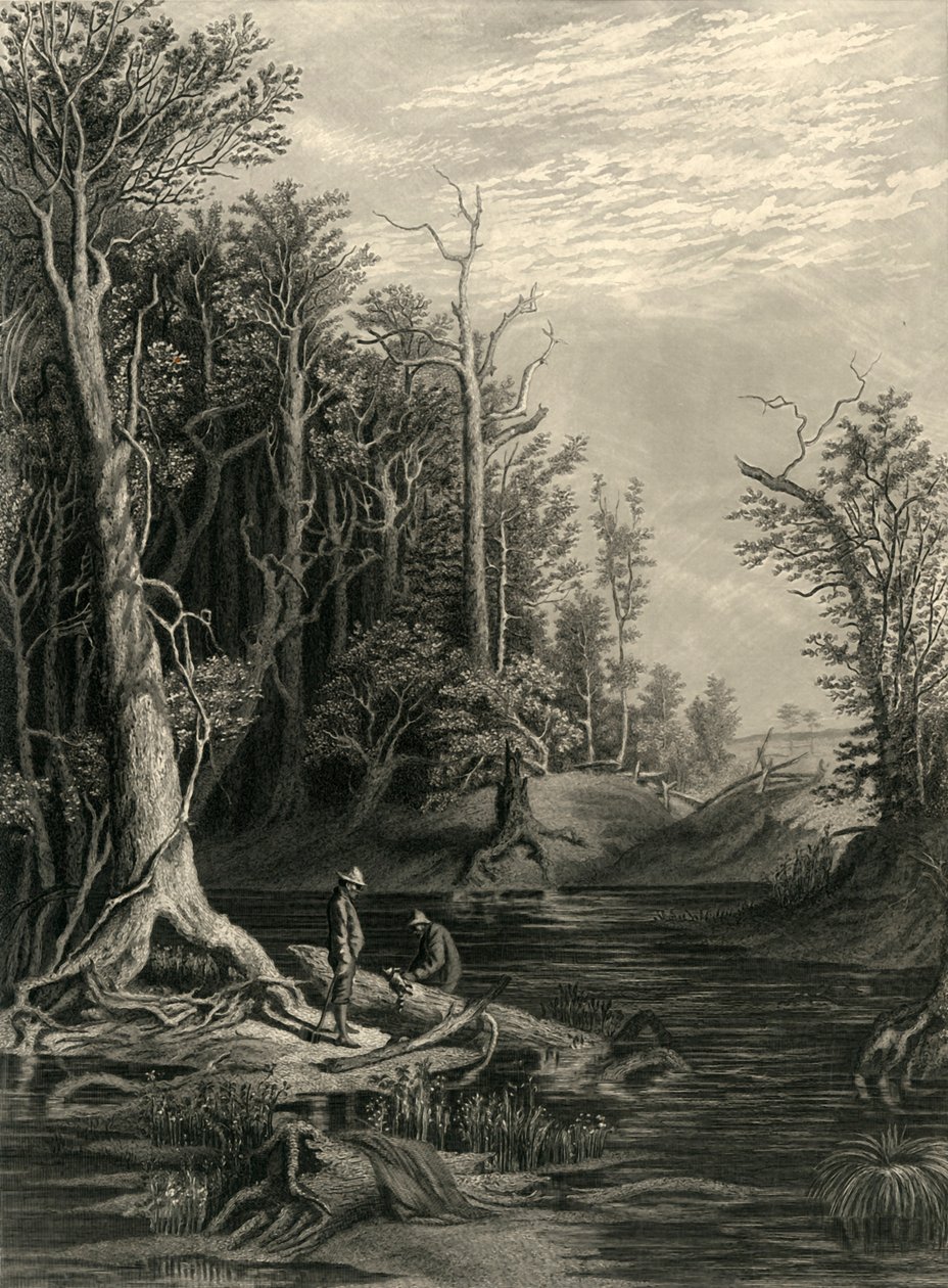 "The Chickahominy", 1872. alkotó: William Wellstood