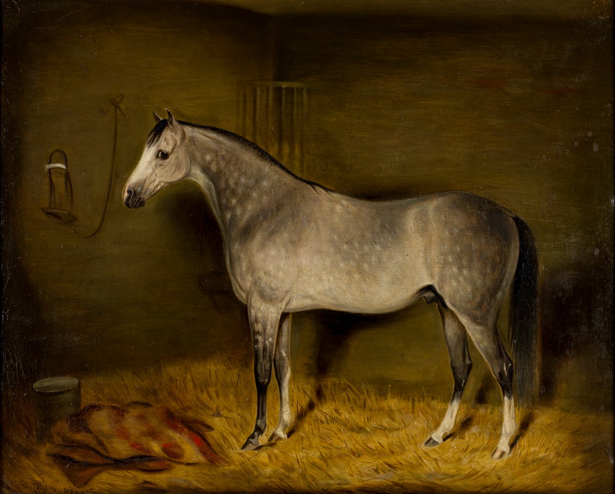 Arab ló, laza dobozban, 1860 körül (olaj, vászon) alkotó: William Williams