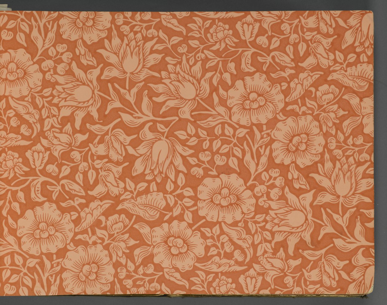 Tapéta mintakönyv, 1917 előtt (nyomtatott) alkotó: William and Company Morris