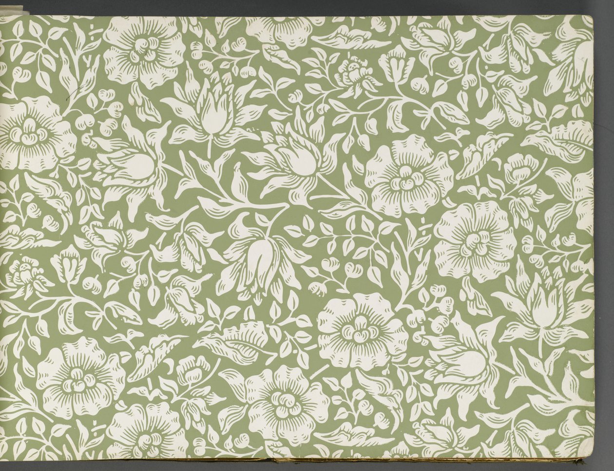 Tapéta mintakönyv, 1917 előtt (nyomtatott) alkotó: William and Company Morris