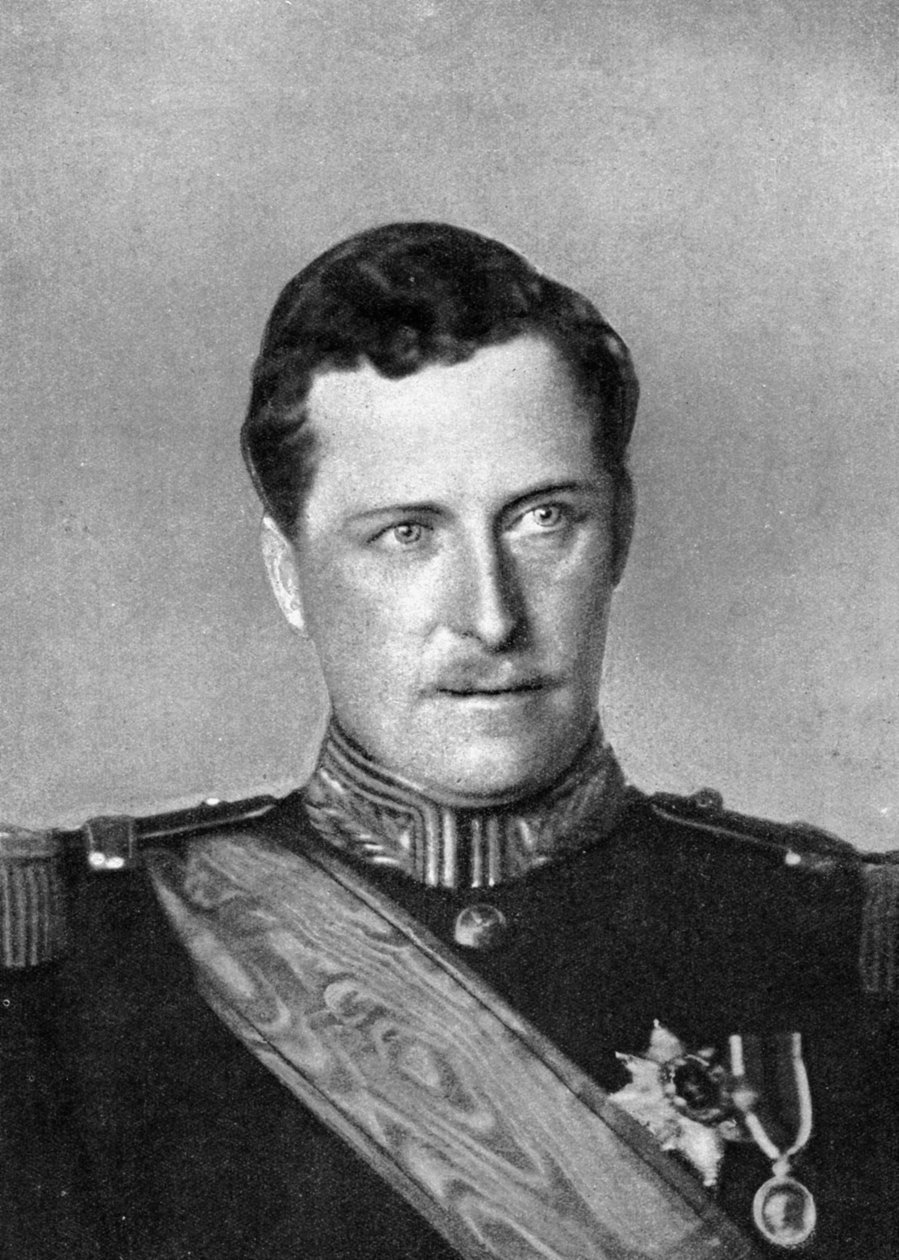 Albert belga király, első világháború, 1914. alkotó: William and Daniel Downey