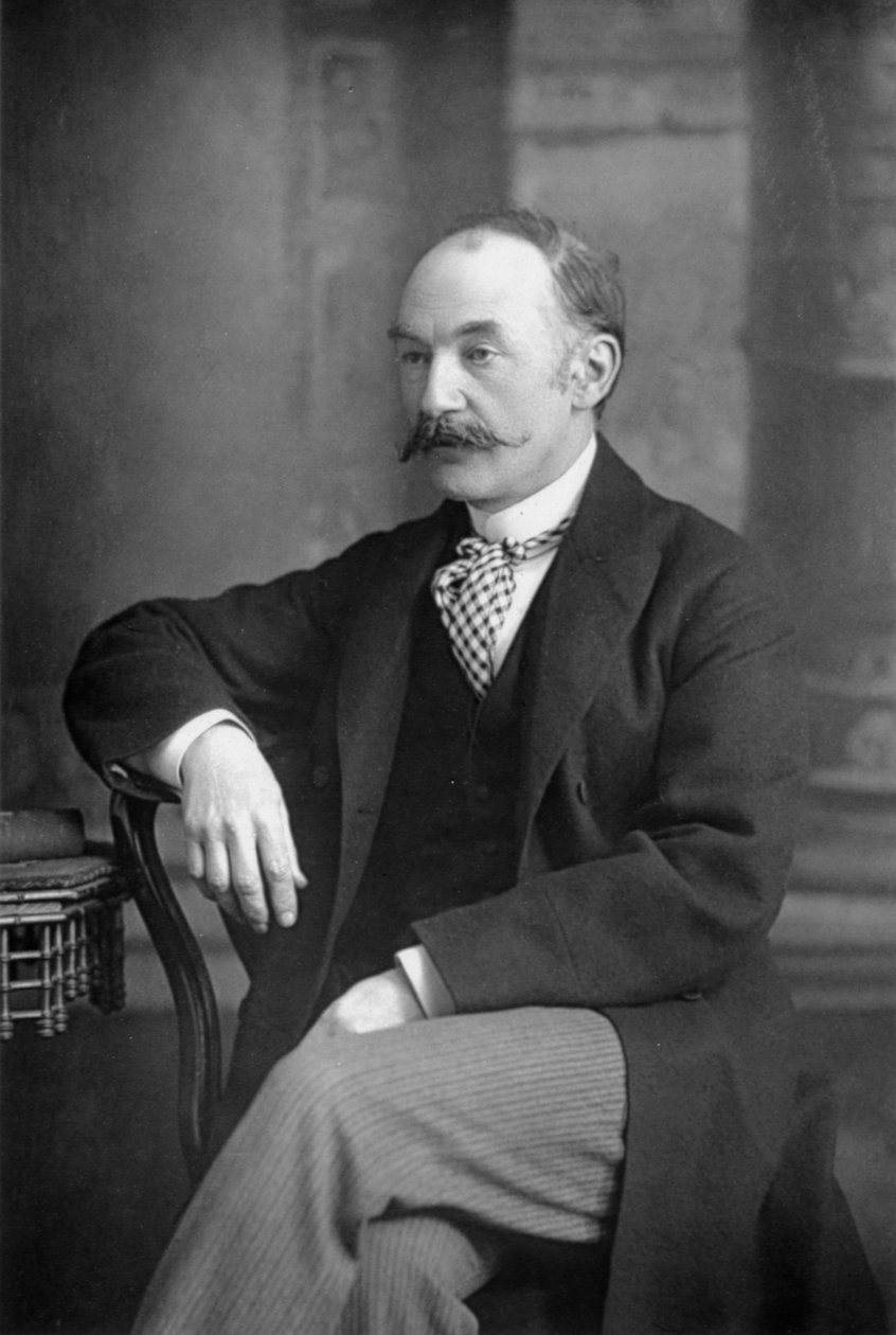 Thomas Hardy angol író és költő, 1890 alkotó: William and Daniel Downey