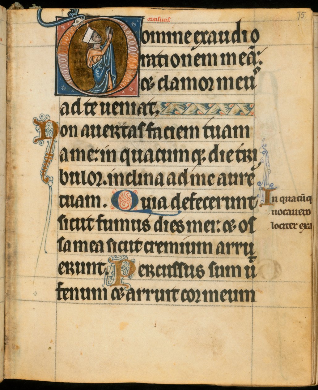 Hozzáadás. 49999, f.75 Kezdő "D", amely egy nőt ábrázol imában, illusztráció a "De Brailes Hours"-ból, 1240 körül (vellum) alkotó: William de Brailes