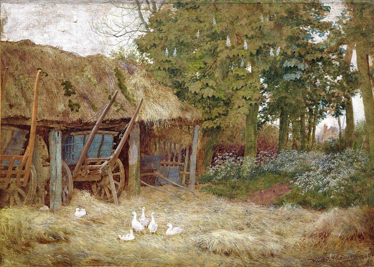 Ducks, 1880 (wc testszínnel papíron) alkotó: Wilmot Pilsbury