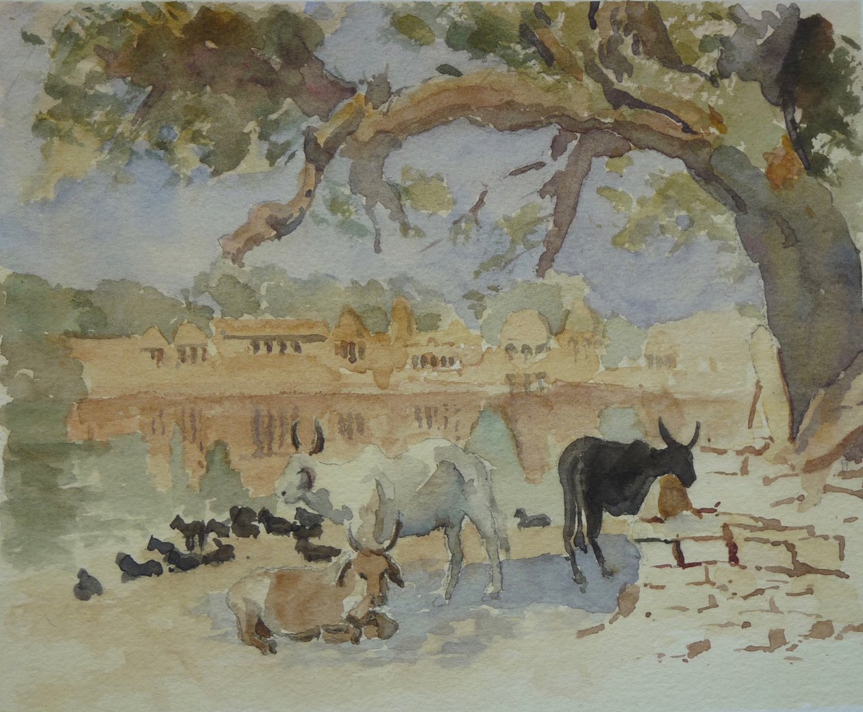 435A Jaisalmer – Vonat Sagar (vázlat) alkotó: Wilson Clive