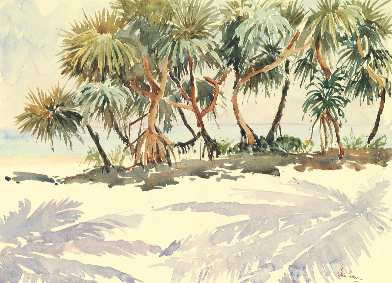 735 Szalmafák, Bentota alkotó: Wilson Clive