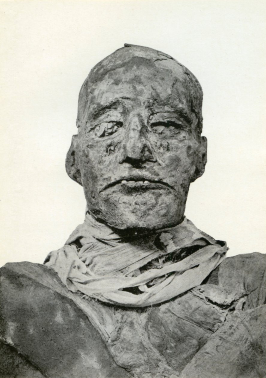 III. Ramszesz, a 20. dinasztia ókori egyiptomi fáraójának múmiájának feje, Kr.e. 1156, 1926 alkotó: Winifred Mabel Brunton