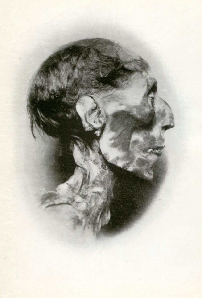 II. Ramszesz, a 19. dinasztia ókori egyiptomi fáraójának múmiájának feje, Kr.e. 1212, 1926. alkotó: Winifred Mabel Brunton