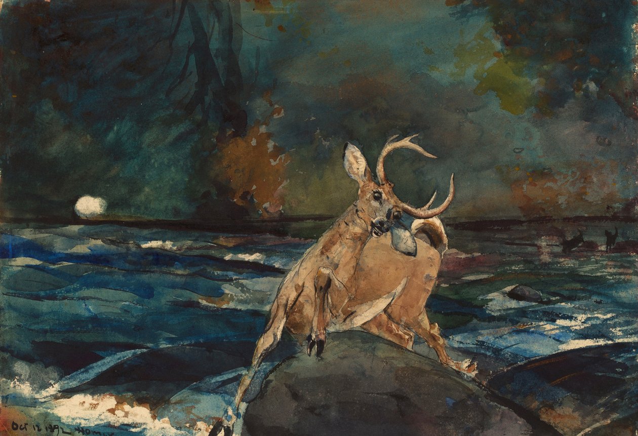 Jó lövés, Adirondacks alkotó: Winslow Homer