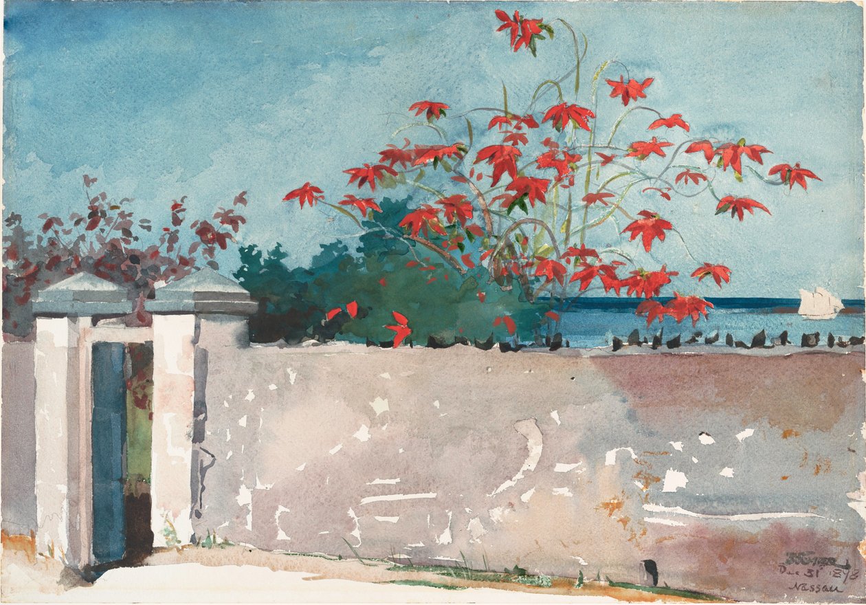 Egy fal, Nassau alkotó: Winslow Homer