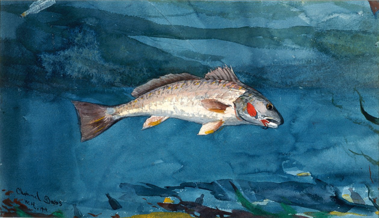 Channel Bass alkotó: Winslow Homer