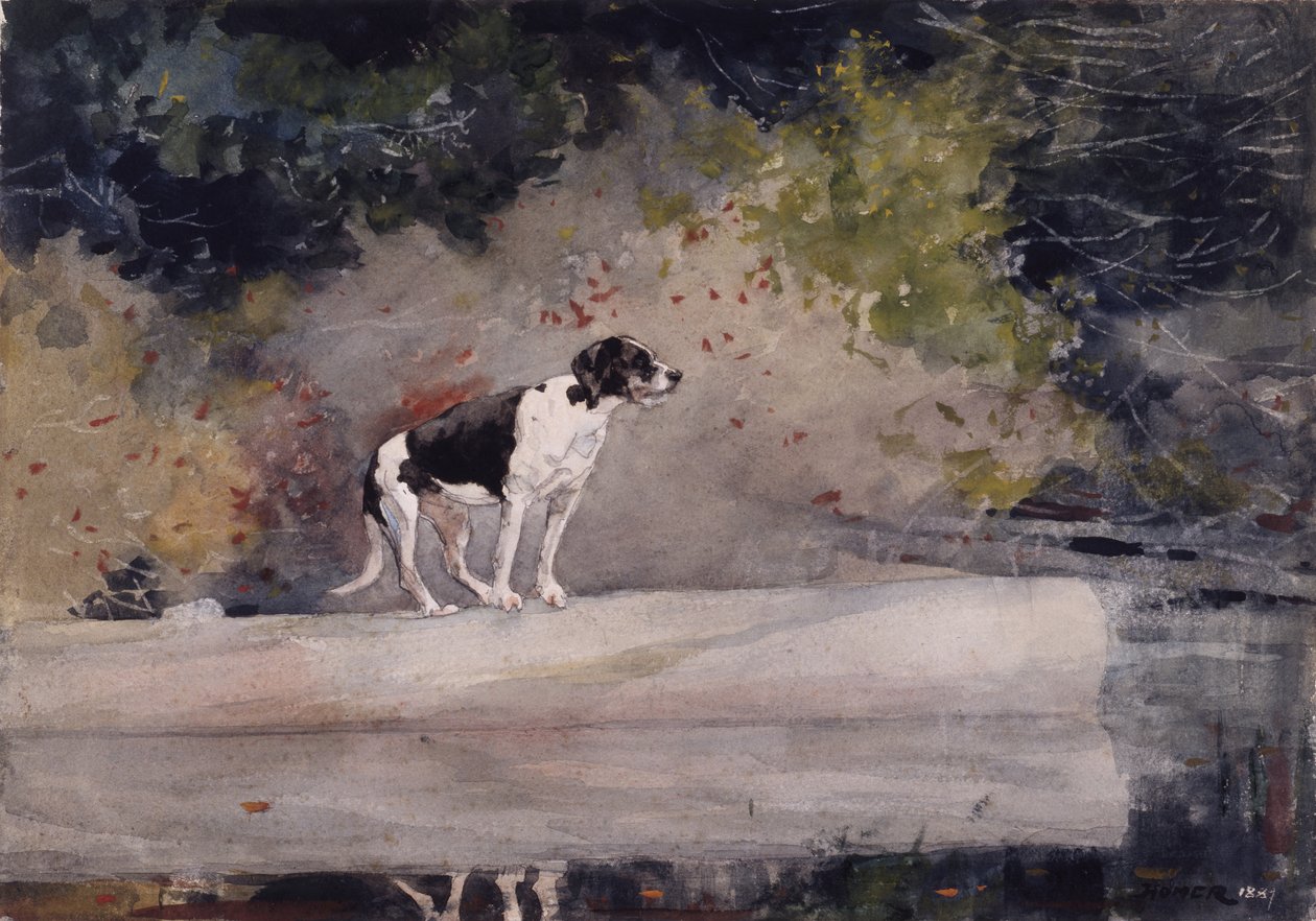 Kutya a rönkön, 1889 alkotó: Winslow Homer