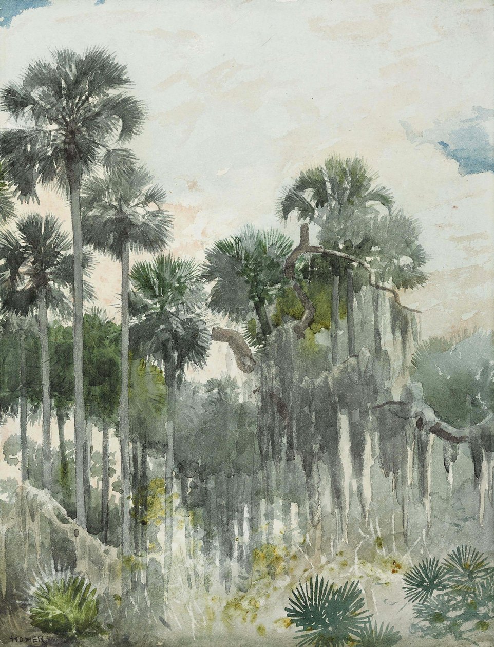 Florida dzsungel alkotó: Winslow Homer