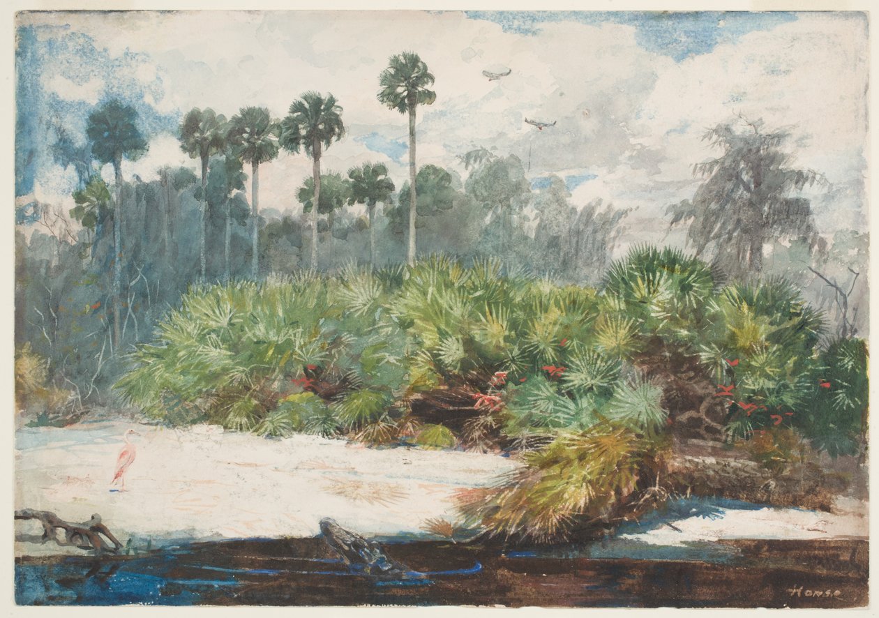 Egy floridai dzsungelben (wc grafit fölött, papíron) alkotó: Winslow Homer