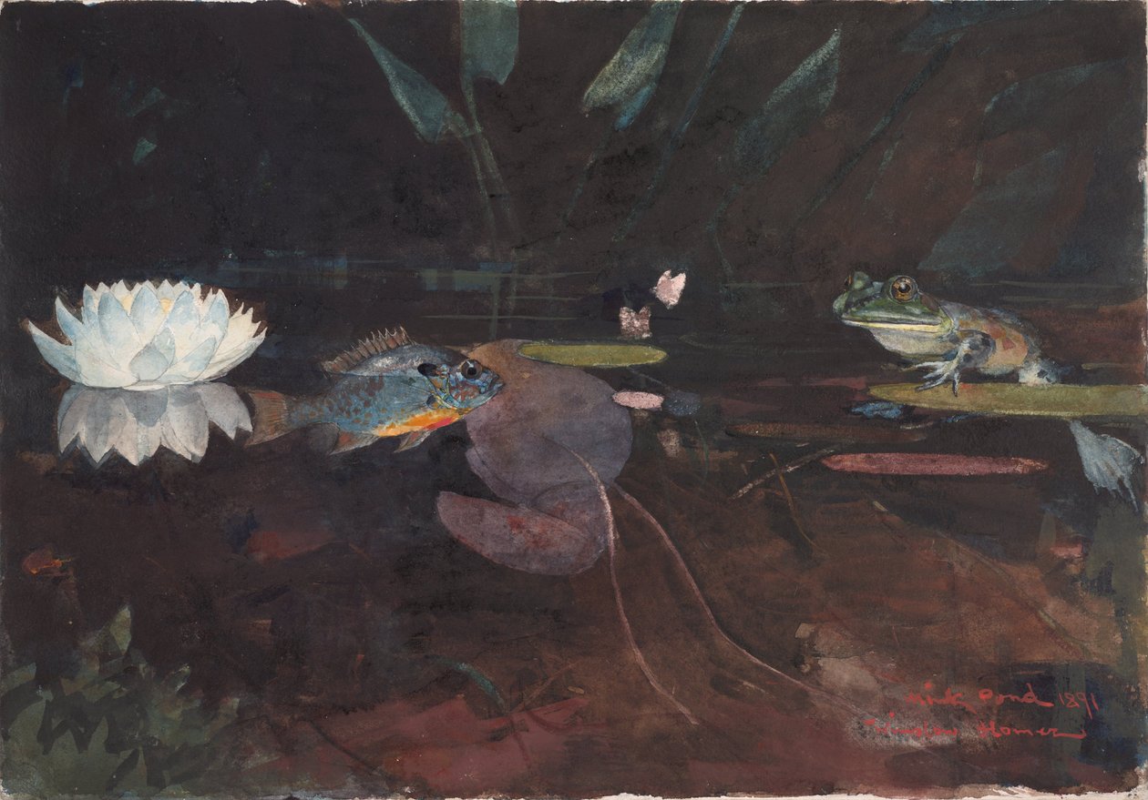 Mink Pond alkotó: Winslow Homer