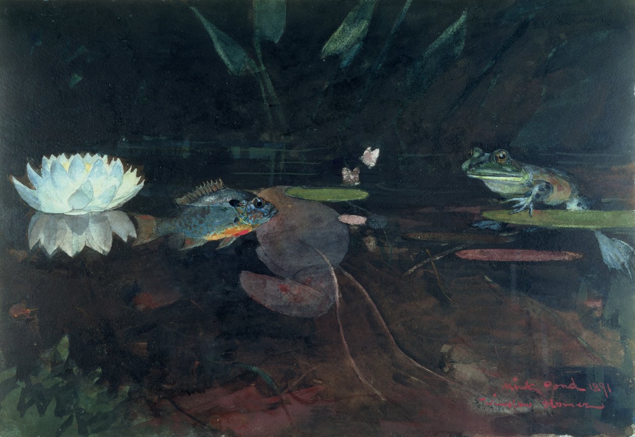 Mink Pond, 1891 (wc grafit felett, papíron) alkotó: Winslow Homer