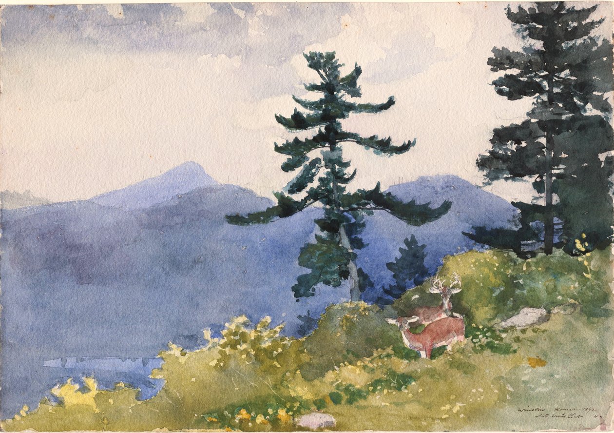 North Woods Club, Adirondacks alkotó: Winslow Homer