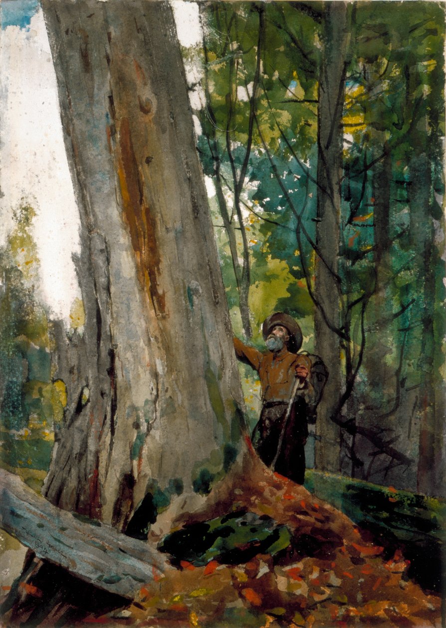 Régi barátok, 1894 (wc ceruzával papíron) alkotó: Winslow Homer