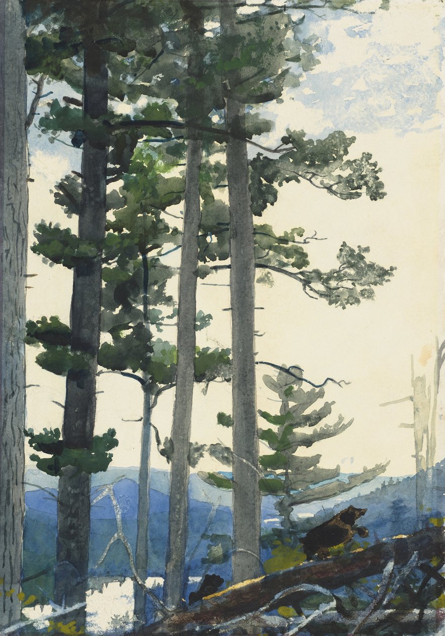 Régi telepesek alkotó: Winslow Homer
