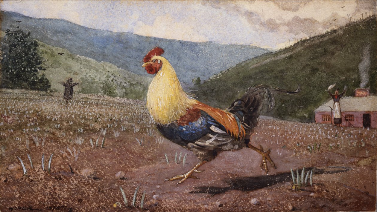 A kakas, 1876 alkotó: Winslow Homer