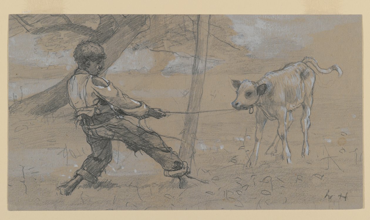 A rakoncátlan borjú (grafit és kínai fehér szőtt papíron) alkotó: Winslow Homer