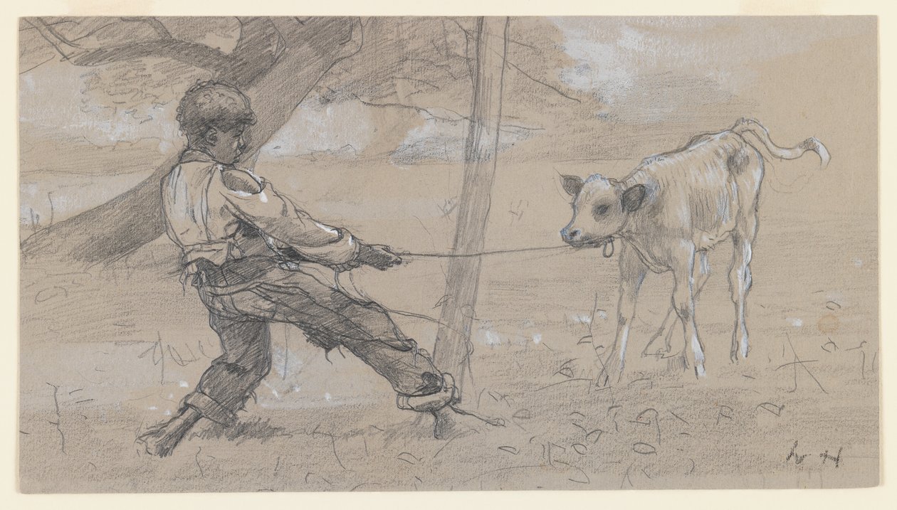 A rakoncátlan borjú, 1875-76 körül (grafit és kínai fehér, szürke szőtt papíron) alkotó: Winslow Homer