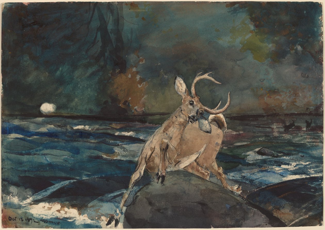 Jó lövés, Adirondacks alkotó: Winslow Homer