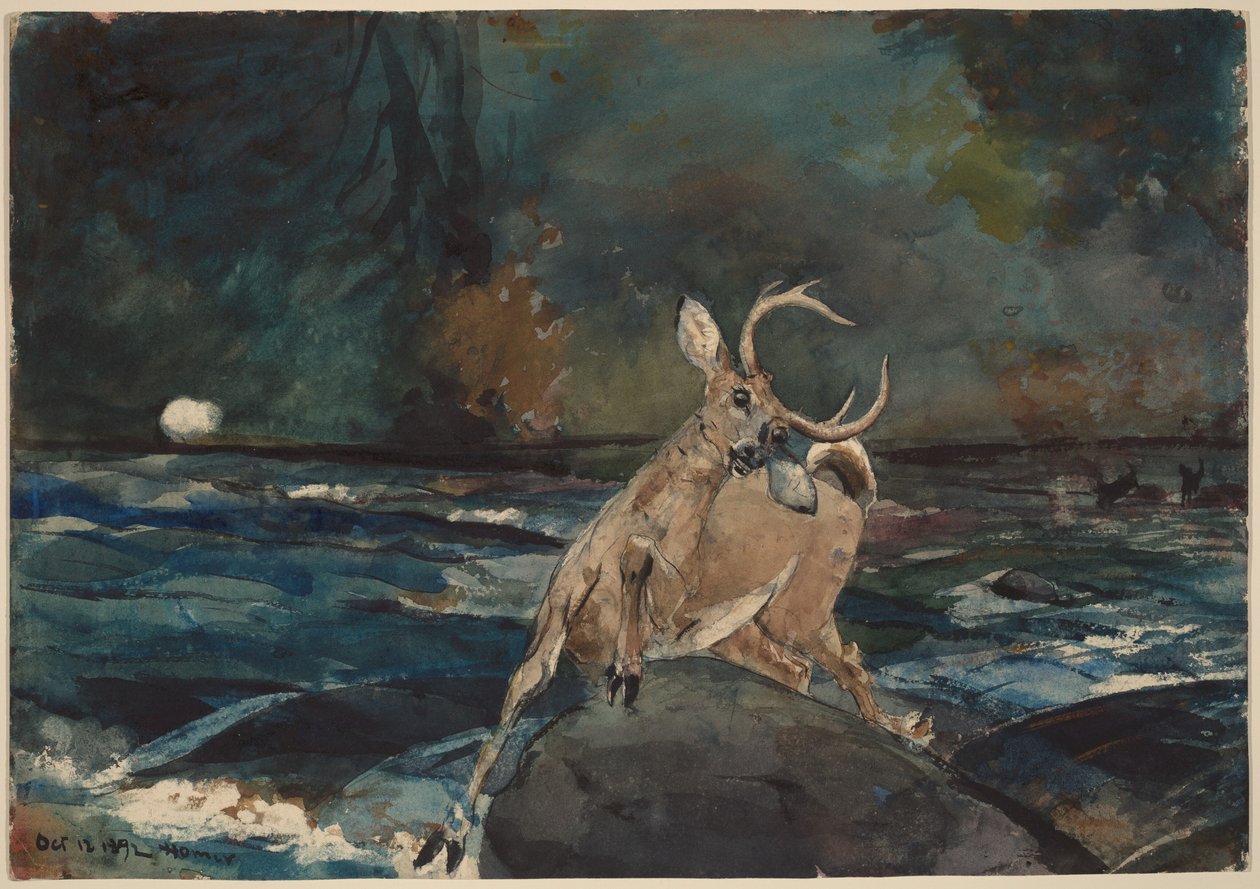 Egy remek felvétel, Adirondacks alkotó: Winslow Homer