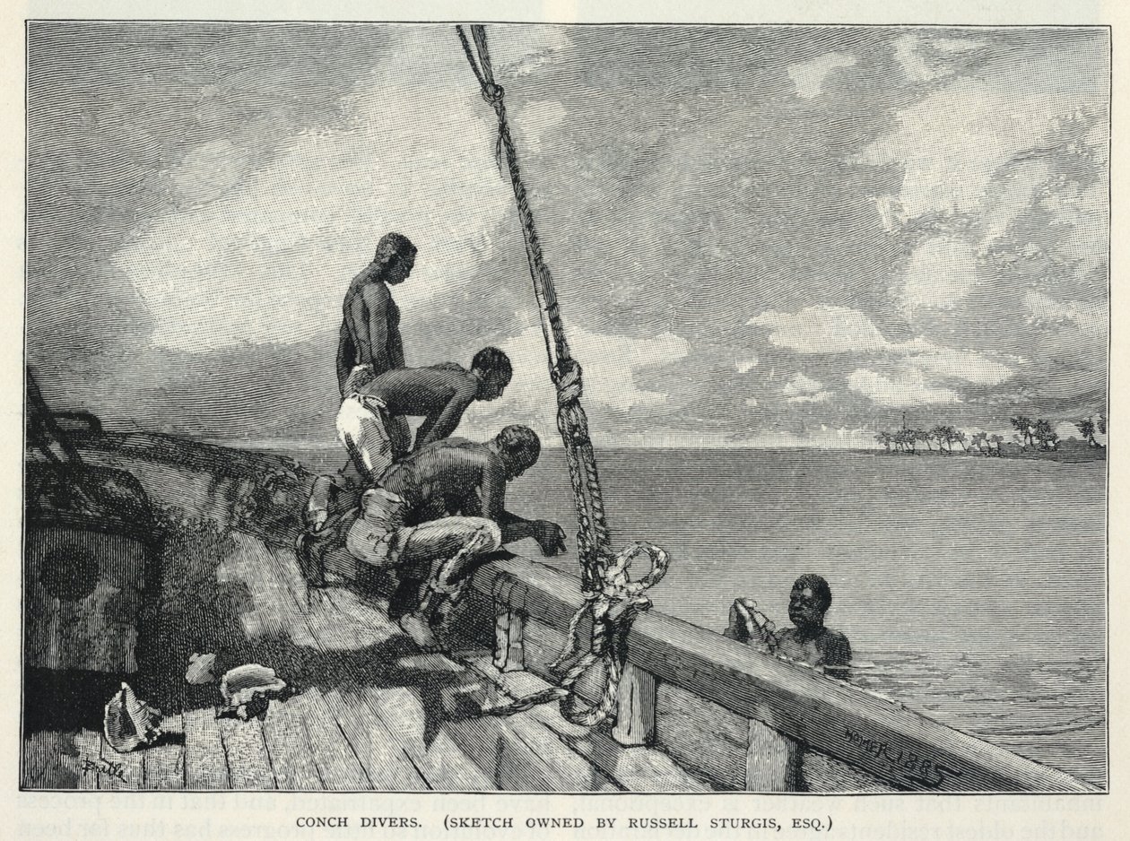 Egy hurrikán, Kendertermesztés, Abaco szigetén, Virágárus, kagylóbúvárok, a Century Magazine-ból, 1887. február alkotó: Winslow Homer