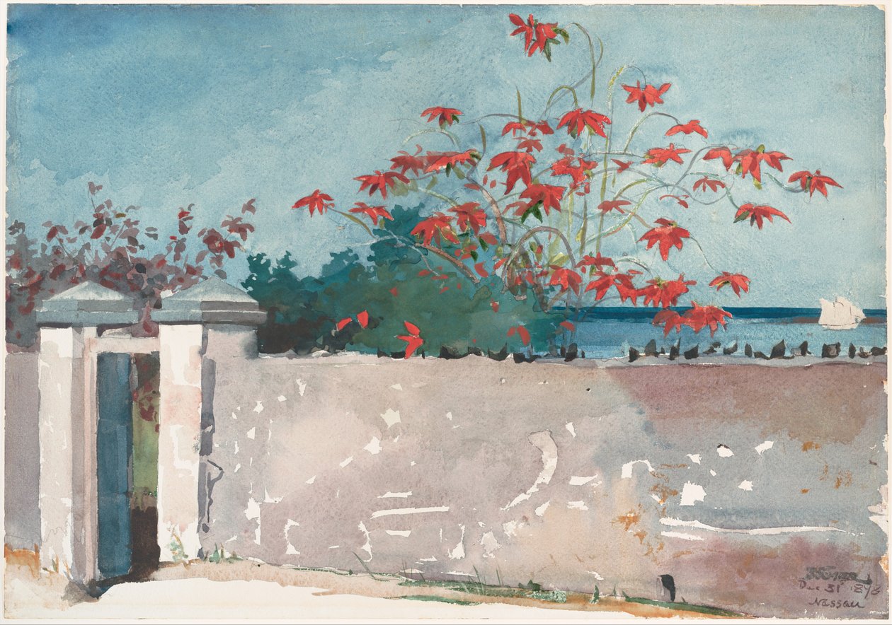 Egy fal, Nassau alkotó: Winslow Homer
