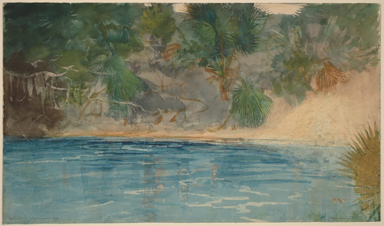 Blue Spring, Florida alkotó: Winslow Homer