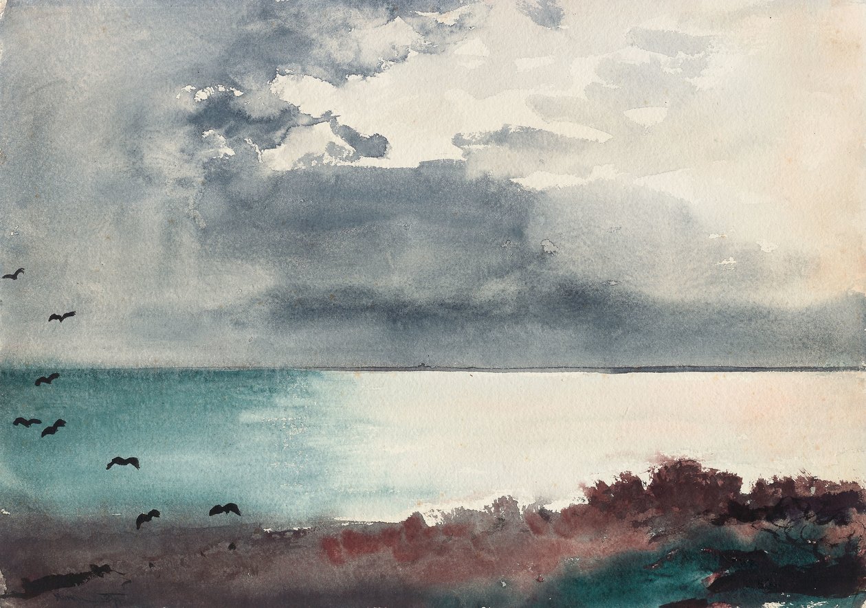 Breaking Storm, Maine partja alkotó: Winslow Homer