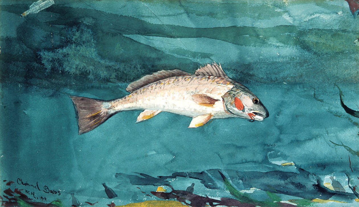 Csatorna basszusgitár, 1904. alkotó: Winslow Homer